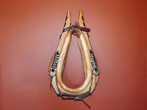Belt Prints: Leather Horse Collar isolated on Burnt Orange Background