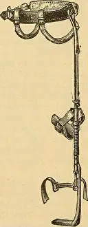 Bookyear Prints: Lectures on orthopedic surgery