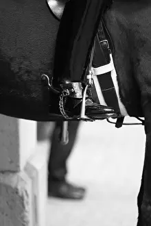 Legs of a member of the Queen's Household Cavalry (horse and guard) and a policemen on Whitehall side of Horse Guards Parade