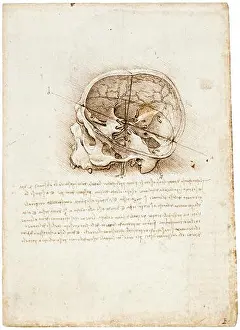 Leonardo Da Vinci drawing, Cross section of a human skull, anatomical drawings, 1489