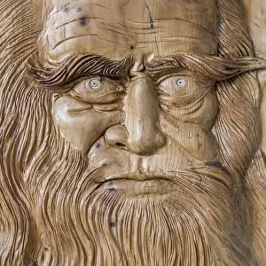 Vinci Prints: Leonardo da Vinci engraving