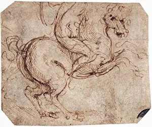 Drawing Art Prints: Leonardo Da Vinci - Study Rider 1504