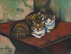 Animals And Birds Prints: Les deux chats (The two cats). Museum: PRIVATE COLLECTION. Author: SUZANNE VALADON