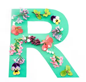 Pansy Prints: Letter R Made of Spring Flowers and Paper, on White Background