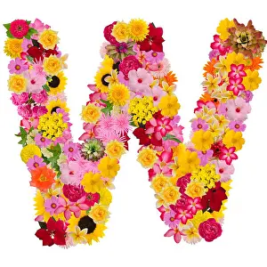 Poinsettia Prints: Letter W alphabet with flower ABC concept type as logo isolated on white background