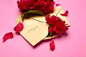 Begging Prints: Letter with word APOLOGIES on color background