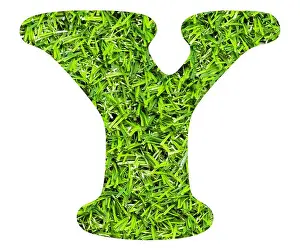 Turf Prints: Letter Y - Artificial green grass background