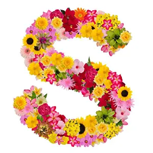 Poinsettia Prints: Letters alphabet with flower ABC concept type as logo isolated on white background