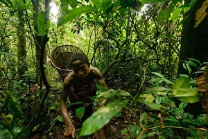Adult Only Prints: The life of the Bayaka Pygmies in the equatorial rainforest