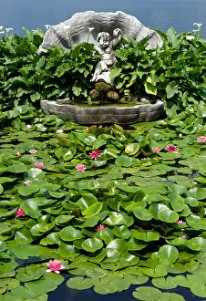 Lake Como Prints: lily pond and stone water feature, villa melzi, lake como, italy