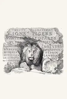 Lion illustration. Plate from a vintage book of engravings by Sir Edwin Landseer