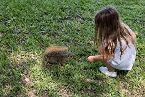White Color Prints: A little girl feeds a squirrel peanuts in Oyster Creek Park in Sugar Land, Texas, USA