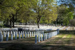Symmetrical Prints: Little Rock National Cemetery