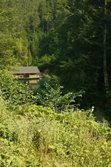 Salzburg Prints: Little wooden hut at Schwarzleobach hidden behind trees near Leogang, Austria