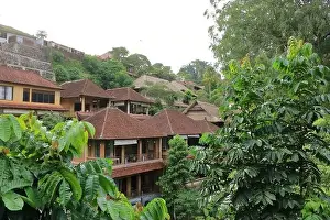 living houses in green surrounding at Campuhan Ridge Walk near Ubud, Bali in Indonesia