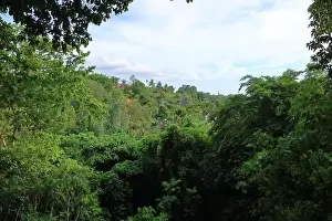 Campuhan Prints: living houses in green surrounding at Campuhan Ridge Walk near Ubud, Bali in Indonesia