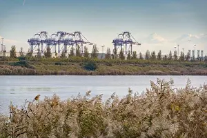 Cataluna Prints: Llobregat Delta Natural Area next to the Barcelona airport and port (Catalonia)