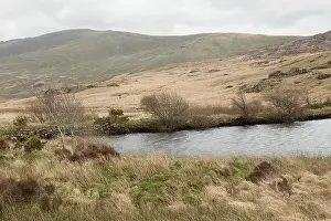 Calming Prints: Llyn Pen Y Gwryd
