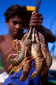 Citizenship Prints: Lobster fishing. Ceará State shore. Tropical beach, Brazil. Child labor