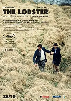 The Lobster Year : 2015 Ireland / UK / Greece Director : Yorgos Lanthimos Movie poster (UK)