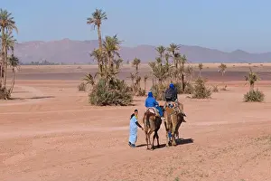 Berber Prints: A local Berber guide taking tourists for a camel safari in the deserts and palm groves near Marrakech