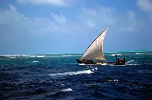 Exhilarating Prints: Local fishing boat Sailing reefed down between the atolls Maldives Indian Ocean