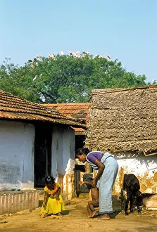 Villager Prints: Local villagers protecting the birds at konnthankulam bird sanctuary near Tirunelveli