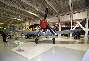 Markings Prints: London. Engand. 2017. Royal Air Force Museum. Fighter with shark teeth painted on body