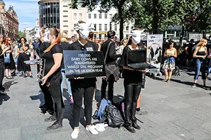Cows Prints: London UK. 3rd June 2017