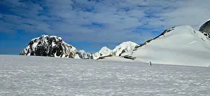 Aspiration Prints: Lonely Penguin in Antarctica