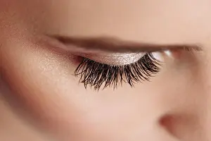 Eyebrow Prints: Long Black Eyelashes. Closeup Of Beautiful Woman Eyebrow And Big Eye With Fake Lashes