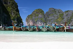 Maya Prints: Longtail boats at the Beach, Maya Bay at Koh Phi Phi Leh, Thailand, Andaman Sea