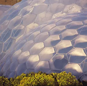 Major Prints: Looking down on a close up of the roof sections of Biome domes at The Eden Project Cornwall England