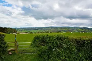 Green Fields Prints: Looking across the Golden Valley to the Black Mountains