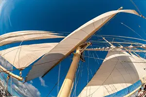 Cruising Prints: Looking up the at a mast and sails of a barquentine cruise ship