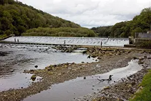 Sightsee Prints: Lopwell Dam, a weir on the River Tavy