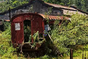 Lost Place Prints: Lost Place. A red rusty train wreck overgrown and forgotten