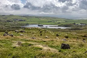 Grazing Prints: Lough na Cranagh, farm and farmland, Fairhead Cliffs, Northern Ireland, UK