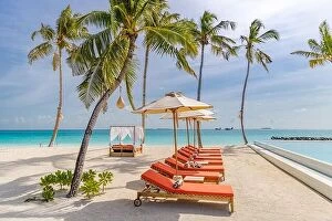Images Dated 12th March 2019: Loungers, beach canopy sandy beach on a tropical island in Maldives