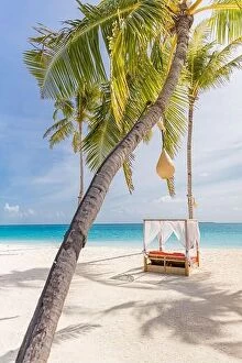 Images Dated 12th March 2019: Loungers, beach canopy sandy beach on a tropical island in Maldives