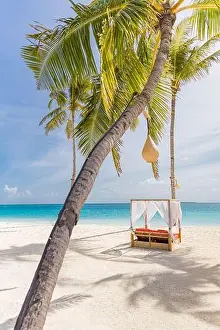 Loungers, beach canopy sandy beach on a tropical island in Maldives. Coconut palms and water lodge on Indian ocean, sunbeds and umbrellas in the shade