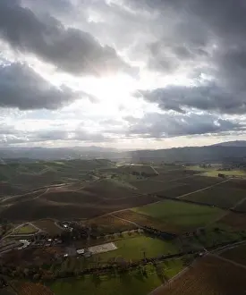 Low, afternoon clouds drift over scenic vineyards in the Tri-valley region of Northern California, just east of San Francisco Bay