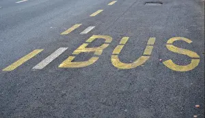 Street Sign Prints: Low angle view of yellow BUS lettering and dashed lines painted on dark asphalt roadway