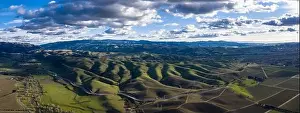 Low clouds drift over a green, peaceful landscape in Livermore, California. Some of the world's best vineyards exist in this Bay Area region