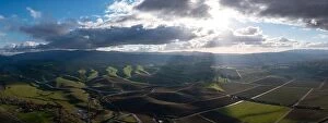 Aerial Landscape Collection: Low clouds drift over the rolling hills and vineyards in Livermore, California