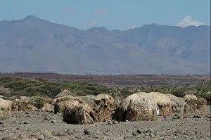 Reed Prints: Loyangalani village near to Lake Turkana Kenya, Eastern Kenya, Africa