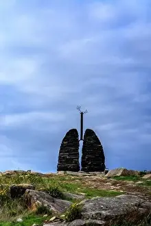 Aerial Panorama Prints: Lungs of Chandebrito. A sculpture made with the burnt wood from the fires wich destroyed the zone