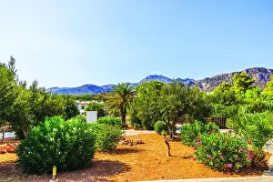 Oleander Prints: Lush garden with oleander bushes and palm tree in front of scenic mountain landscape on clear day