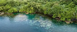 Melanesia Prints: Lush jungle on a remote tropical island is fringed by a coral reef in the Solomon Islands