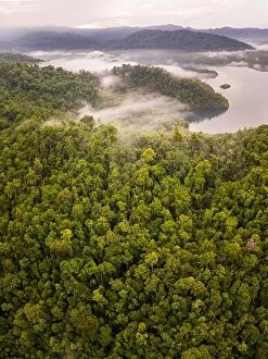 Aerial Landscape Collection: A lush rainforest covers a remote tropical island in Raja Ampat, Indonesia